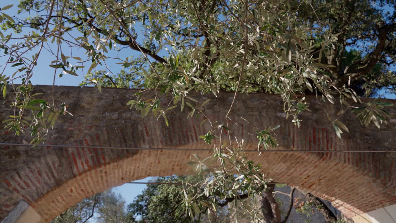 Slow pan of olive tree branches swaying in the wind near an orange brick bridge in Lisbon, Portugal, capturing the city's natural and historic elements.