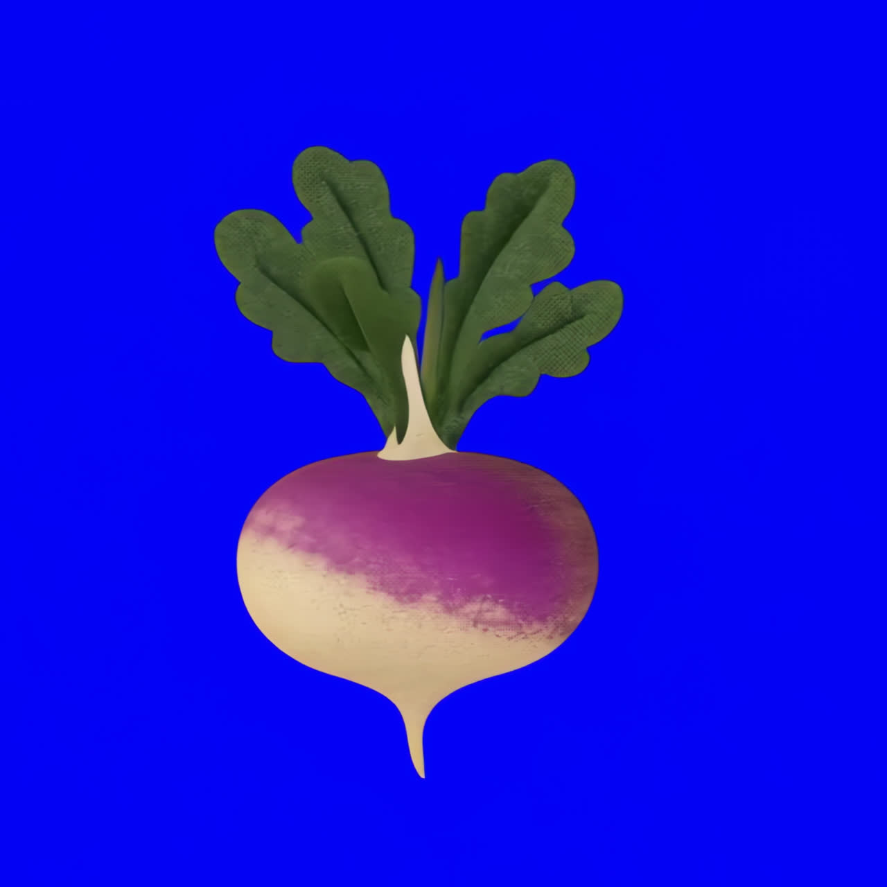 Kunstnerisk illustration af radise, isoleret aktiv, transparent 4K-video, alfakanal, ProRes