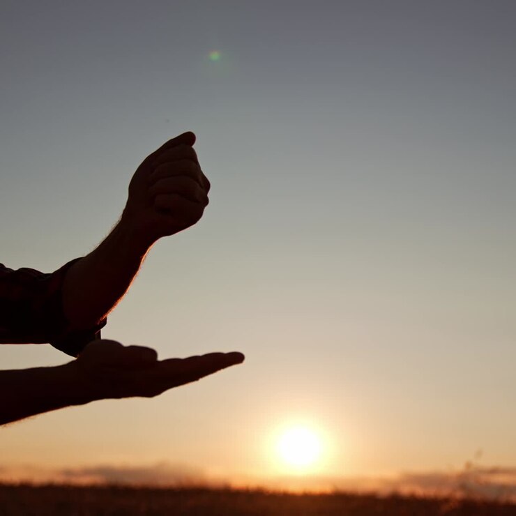 Silhouette scura di un agricoltore con cappello che versa i chicchi da una mano all'altra al tramonto. L'uomo verifica se il grano è pronto per essere raccolto.