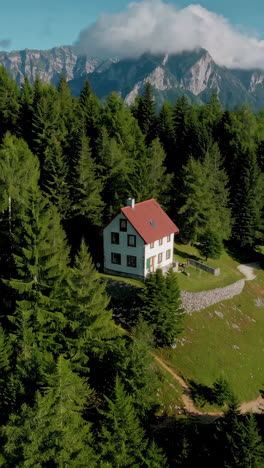 alpine cabin nestled in a pine forest