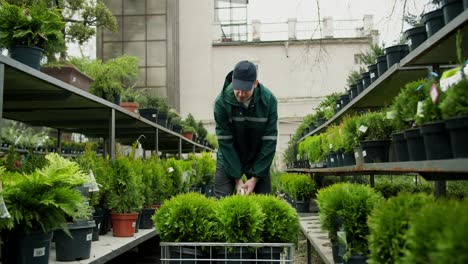 Greenery-Arrivals:-Unpacking-and-Stocking-New-Plant-Deliveries