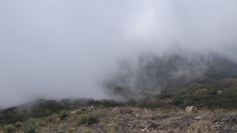 base of santa ana volcano in el salvador, central america mountain landscape