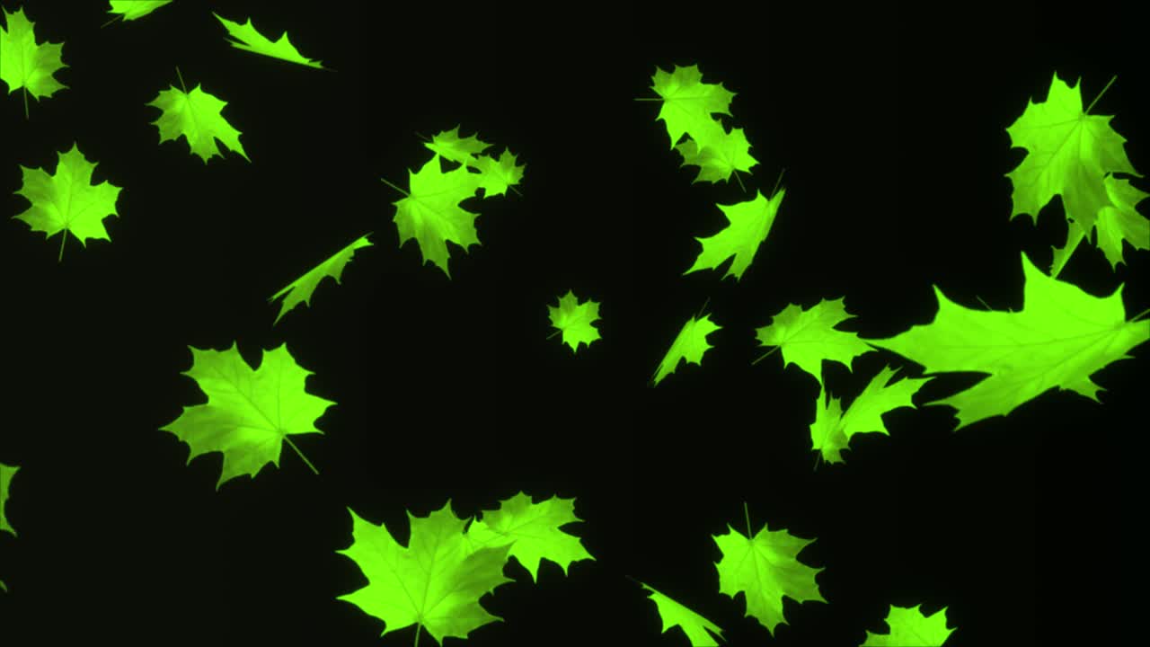 4k abstracto hoja de arce de otoño de fondo y partículas de luz que caen en bucle de fondo alfa