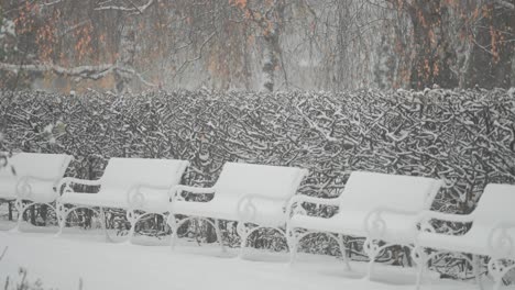 petrin park's rose garden is covered with snow. benches, trees, and flowerbeds are adorned with a light white blanket.