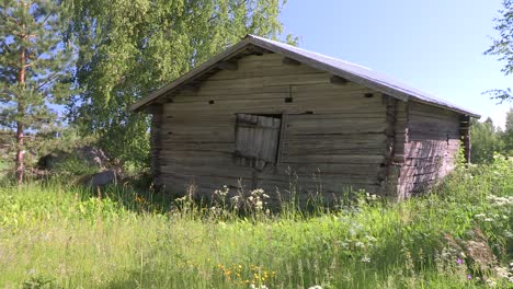 romantic wooden hut or barn in the sunshine in finland