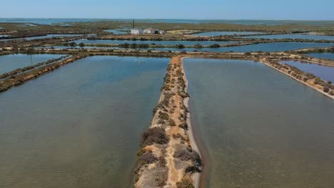 imágenes aéreas de la vida silvestre en el algarve, portugal