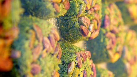 pistachio dessert