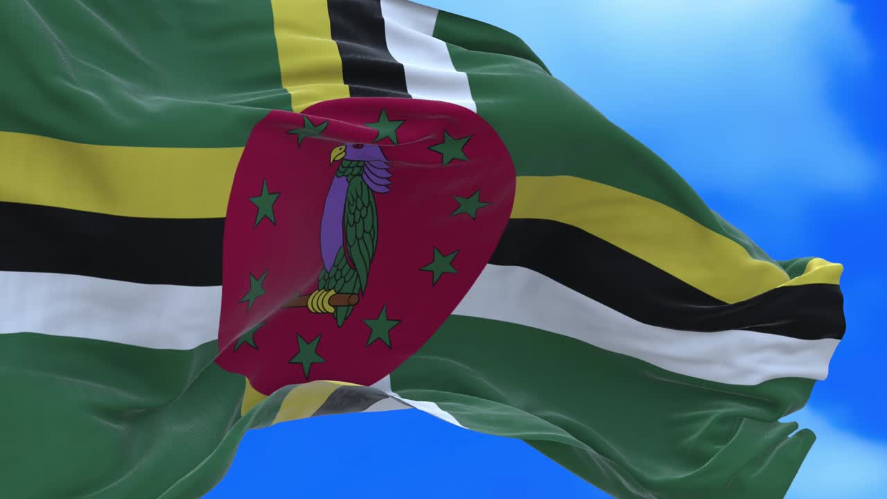 도미니카 발의 끊임없는 루프.