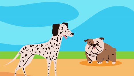 two dogs - dalmatian and bulldog