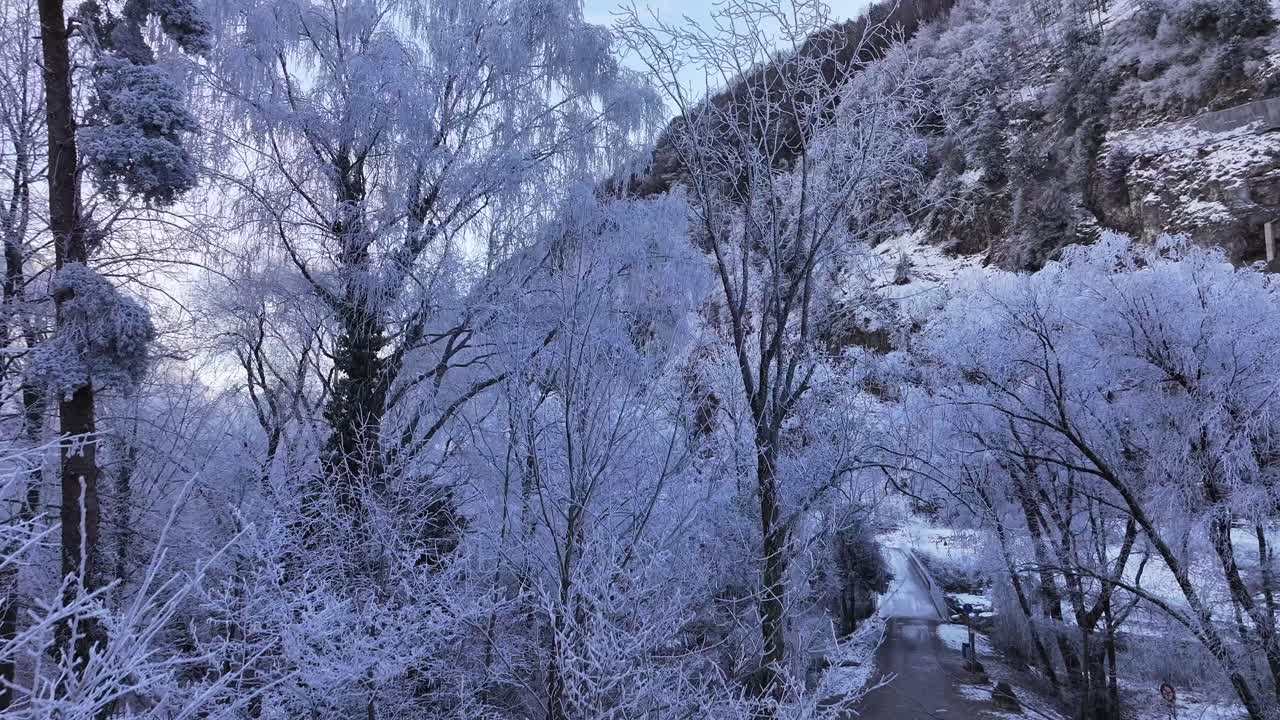 Aerial drone perspective of a forest and a path covered in a thin layer of ice during the harsh Swiss winter. A frozen and serene landscape.