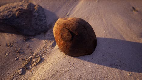 Braune-Kokosnuss-Auf-Dem-Strandsand