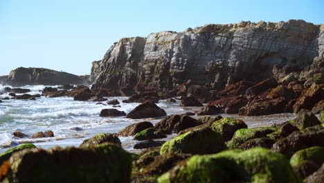 playa estatal pescadero y acantilados número dieciséis