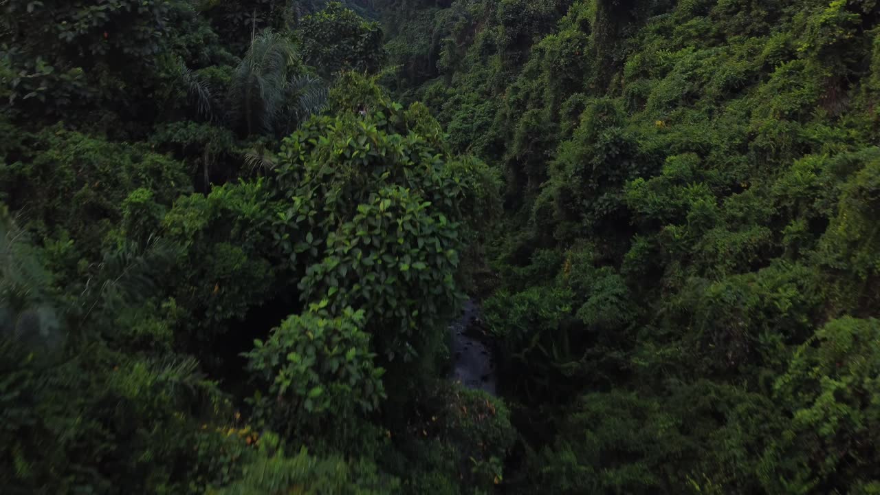 cabaña de techo de paja ubicada en la exuberante jungla verde de campuhan ridgewalk en ubud, bali al atardecer