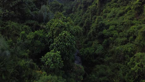 Thatched-roof-hut-nestled-in-lush-green-jungle-of-Campuhan-Ridgewalk-in-Ubud,-Bali-at-sunset