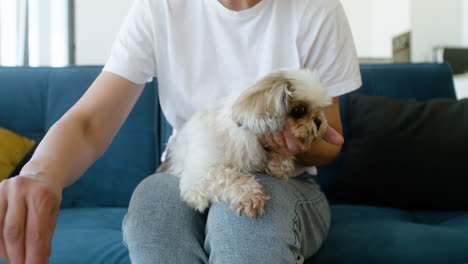 Perro-En-El-Regazo-De-Su-Dueño-En-Casa