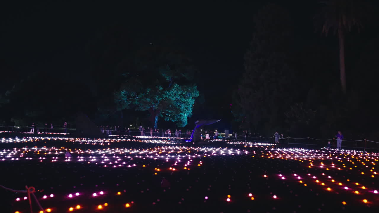 수백 개의 반 ⁇ 이는 반 ⁇ 이는 불빛이 시드니 식물원 지상에서 느린 움직임으로 생생하게 나타납니다.