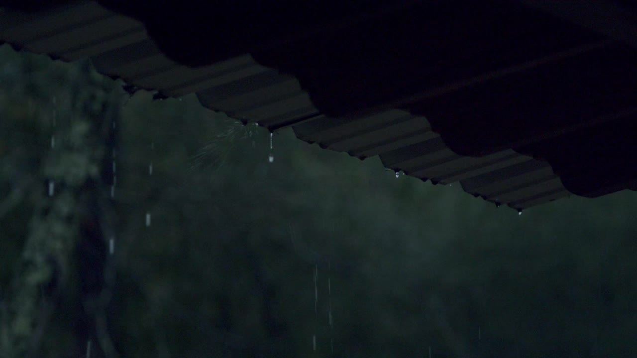 Rain drips off a metal roof following a storm, with a dark forest in the background. The scene captures the serene ambiance of a rainy night, filmed in stunning 4K.