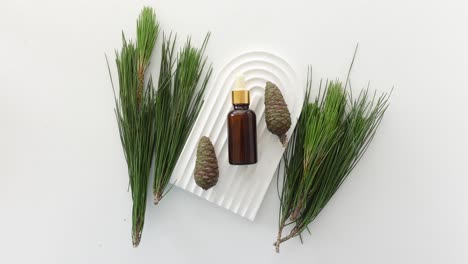 pine essential oil bottle with needles and cones