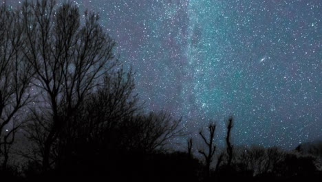 Milchstraße-Und-Sterne,-Die-Sich-Langsam-Am-Nachthimmel-In-Einem-Wald-Bewegen
