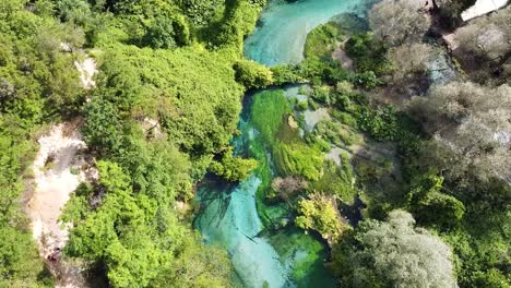 Imágenes-Tomadas-Con-Drones-Del-Ojo-Azul-En-Albania,-Capturando-Las-Vibrantes-Aguas-Azules-Y-El-Exuberante-Entorno-Verde-Desde-Arriba