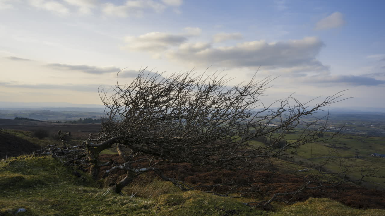 таймлапс сельского и удаленного пейзажа травы, деревьев и скал в течение дня в холмах карроукил в графстве слиго, ирландия