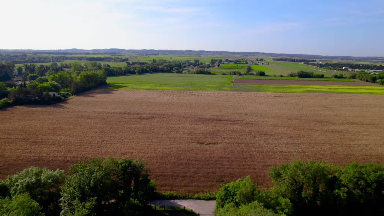 campos verdes y cosechados divididos por líneas de árboles en bernis, francia - aérea