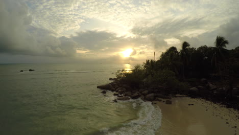 Sunrise-Aerial-Push-in-over-Trees-and-Birds