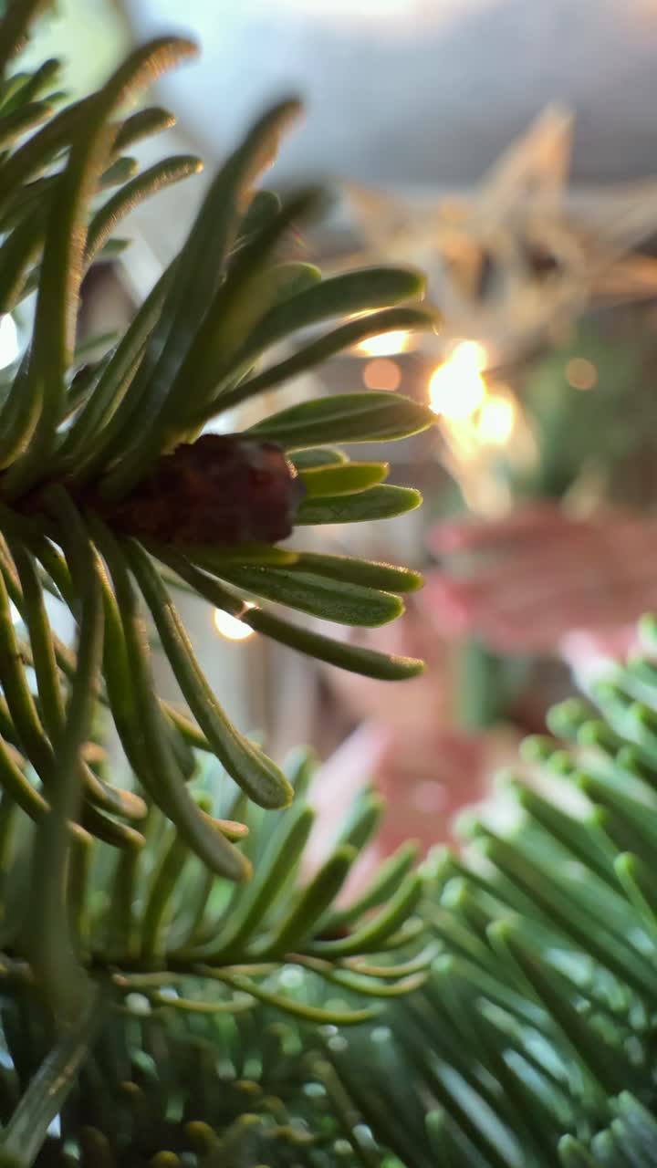 primer plano de las ramas del árbol de navidad
