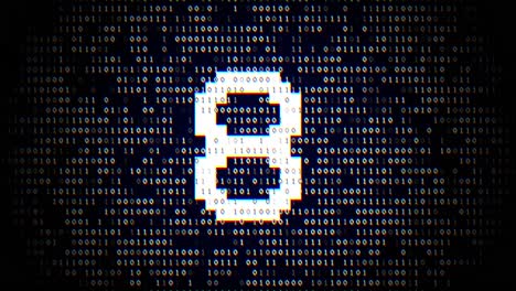 Glitching Binary Code