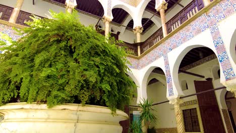 fountain-with-a-green-plant-in-the-middle-of-the-royal-palace