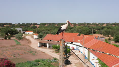 aerial-views-of-Santa-Susana-village,-Alentejo,-Portugal-6