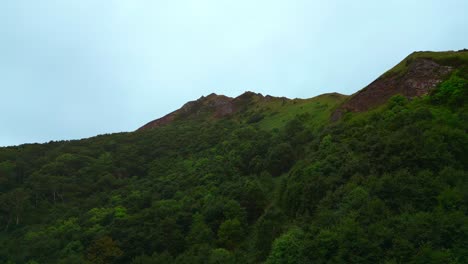 mountainous forest landscape