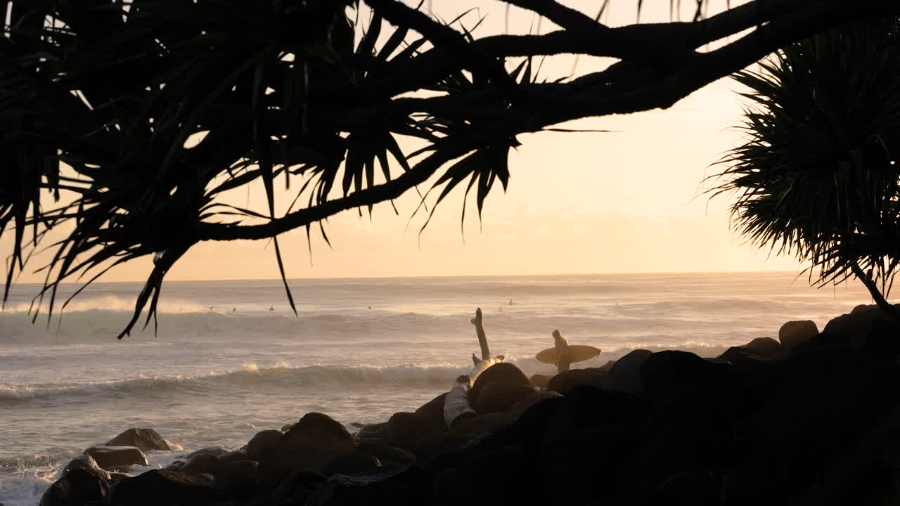 surf al amanecer en burleigh heads, costa dorada, australia