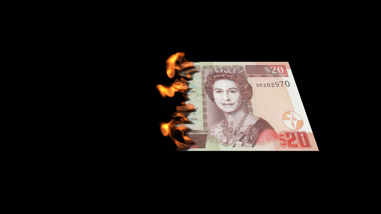 벨리즈에서 불타는 20달러 지폐