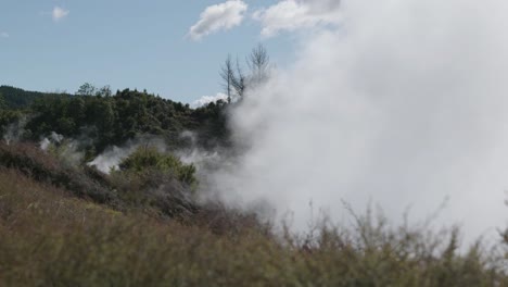 steam coming from the ground in a geothermal active zone, craters of the moon, taupo, new zealand