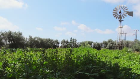 windpump in a field