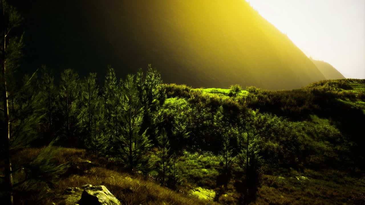 naturaleza bañada en la luz del sol dorada al pie de las montañas cerca de un bosque