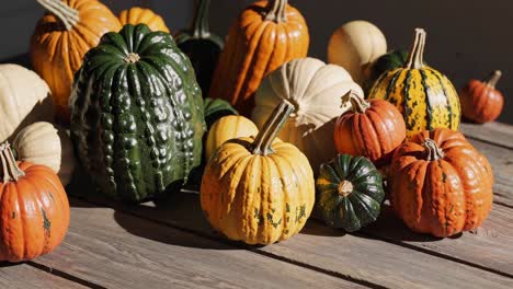 a rustic video scene of assorted pumpkins on a wooden table, captured from a low angle