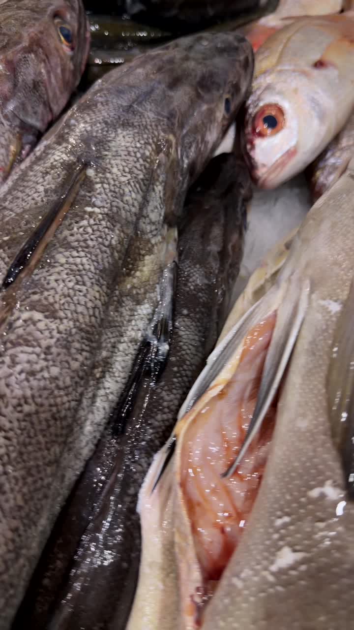 Variety of Fresh Fish Displayed on Ice at a Seafood Market