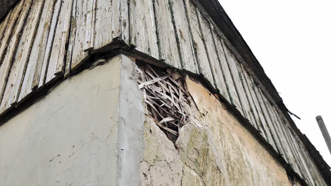 Close up, decaying structure where plaster peels off from wooden framing, Latvia