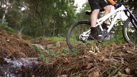 Ciclista-De-Montaña-Masculino-Montando-En-El-Bosque