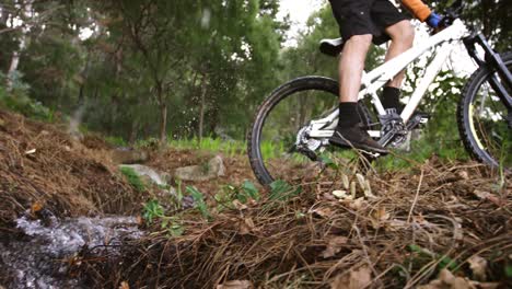 motociclista de montaña masculino montando en el bosque