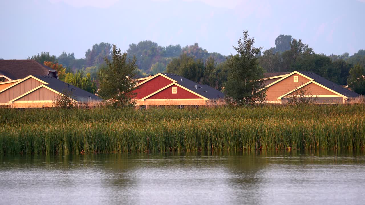 물에 떠있는 흰색 미국 펠리컨