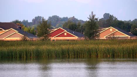 white american pelicans floating in water