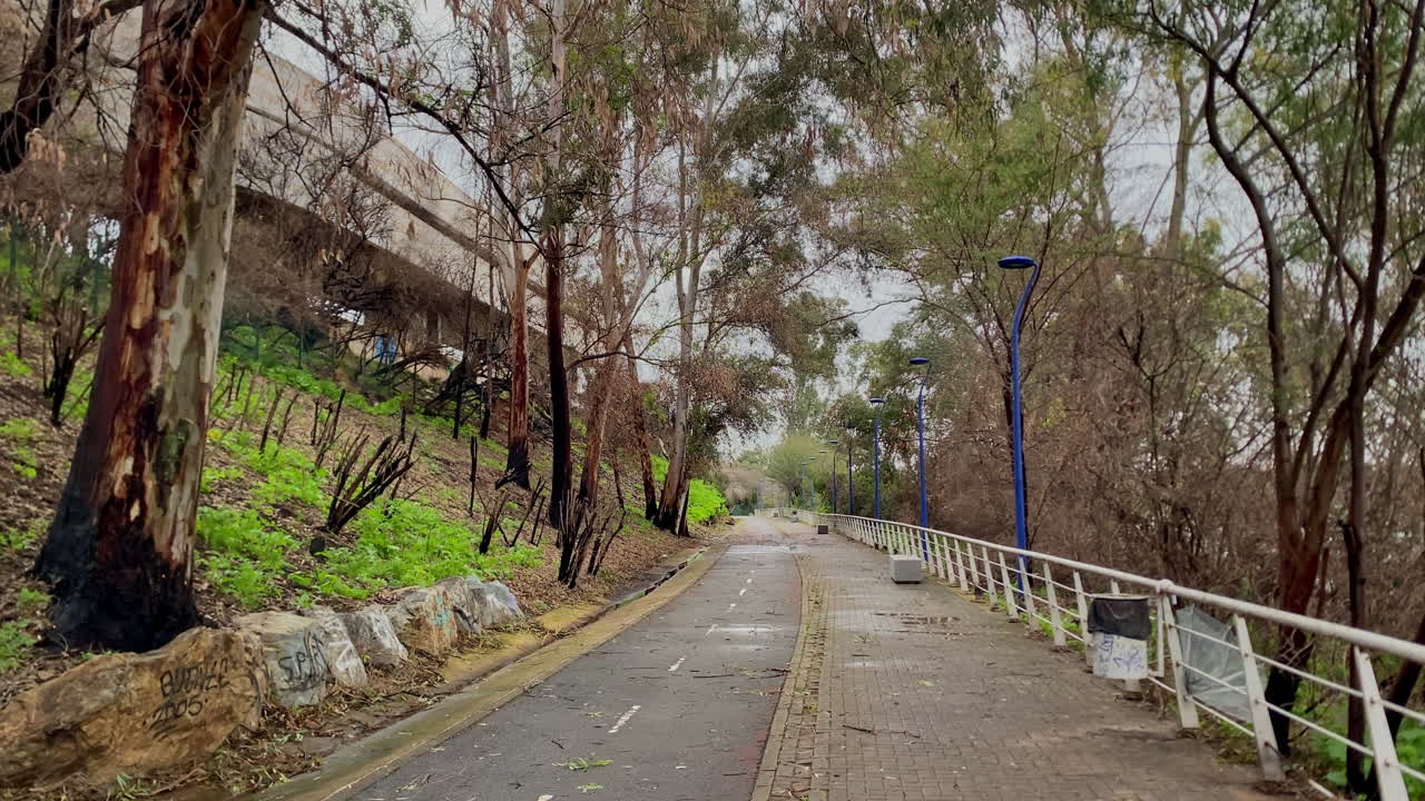 Urban pathway alongside a slope showing burnt trees with new growth, illustrating nature's resilience in a city setting