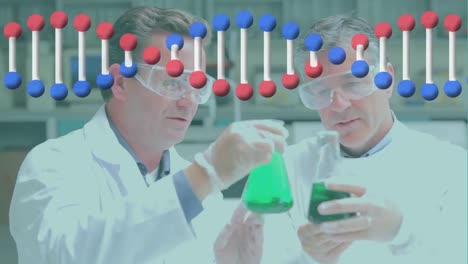 Animation-of-dna-strand-over-caucasian-male-scientists-holding-beakers