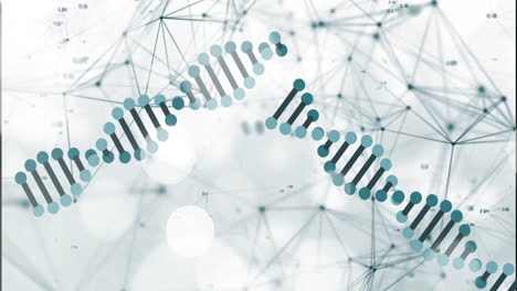 animación de cadenas de adn a través del procesamiento de datos