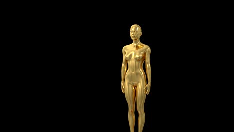 trophy award ceremony intro with space for title text nomination 4k