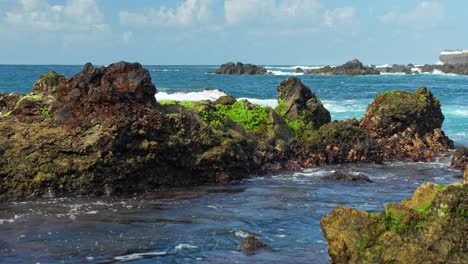 Vulkangestein-Und-üppige-Algen-An-Der-Küste-Der-Insel-Teneriffa:-Brechende-Wellen