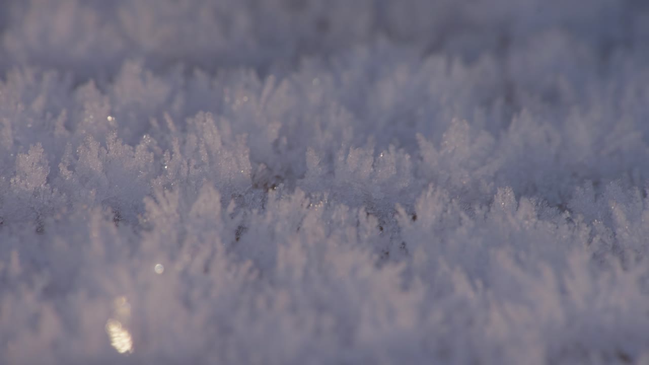 las heladas de la mañana. las temperaturas de congelación del reino unido